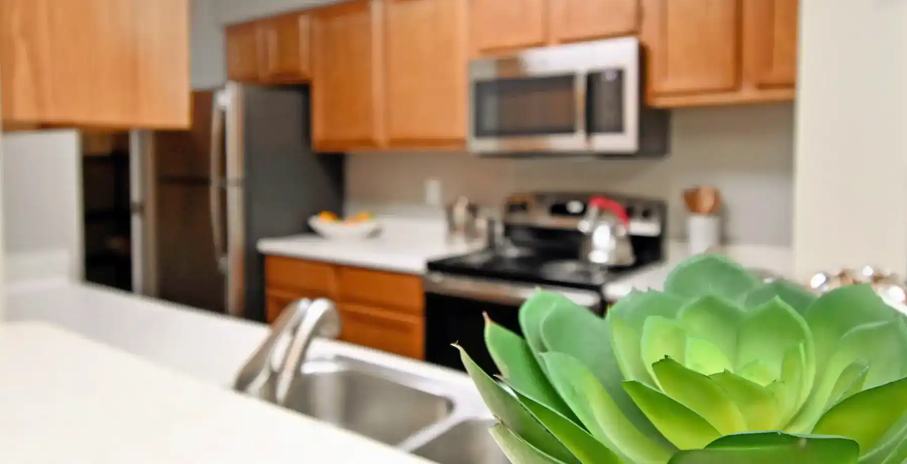 Detail close-up of plant in foreground of kitchen with stainless steel appliances at Woodspring Apartments