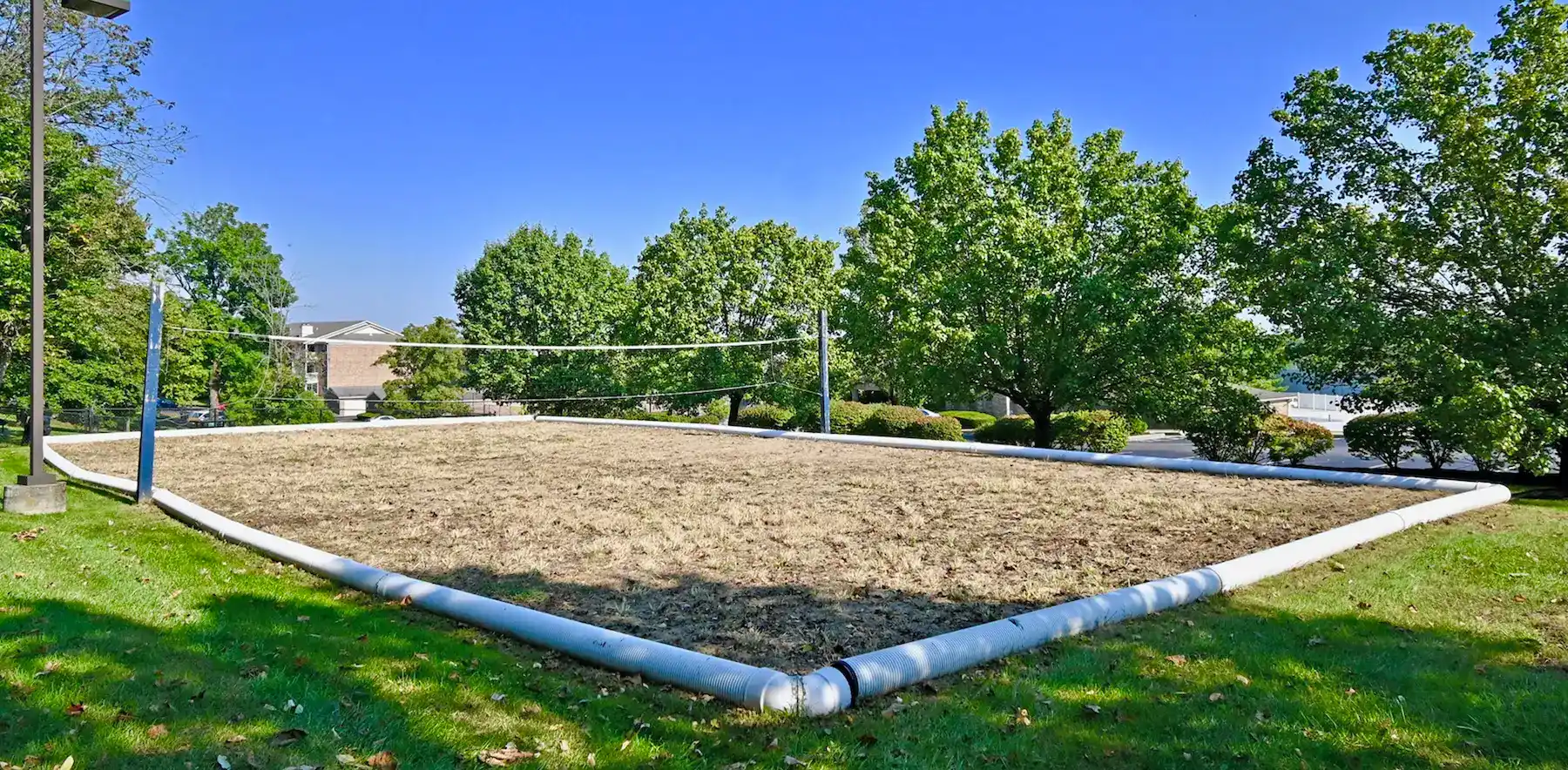 Volleyball court surrounded by trees on a clear skied day