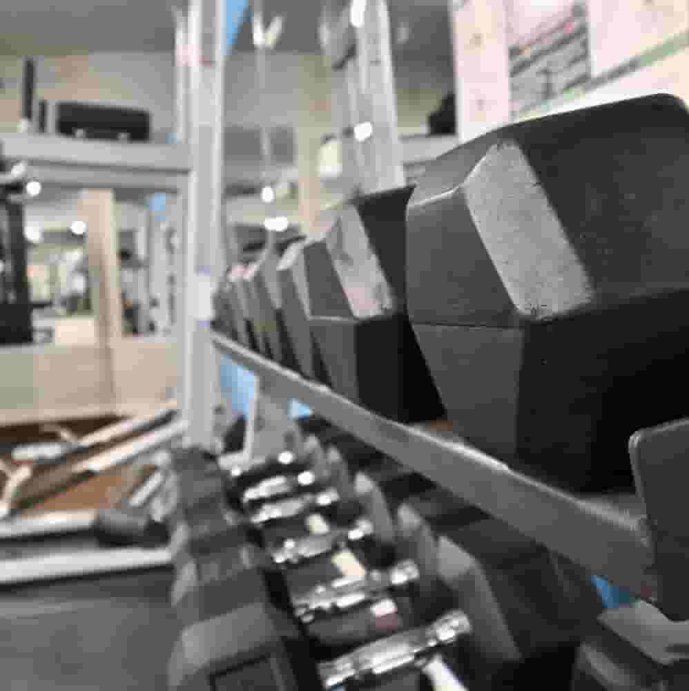 Close-up of dumbbells on a rack
