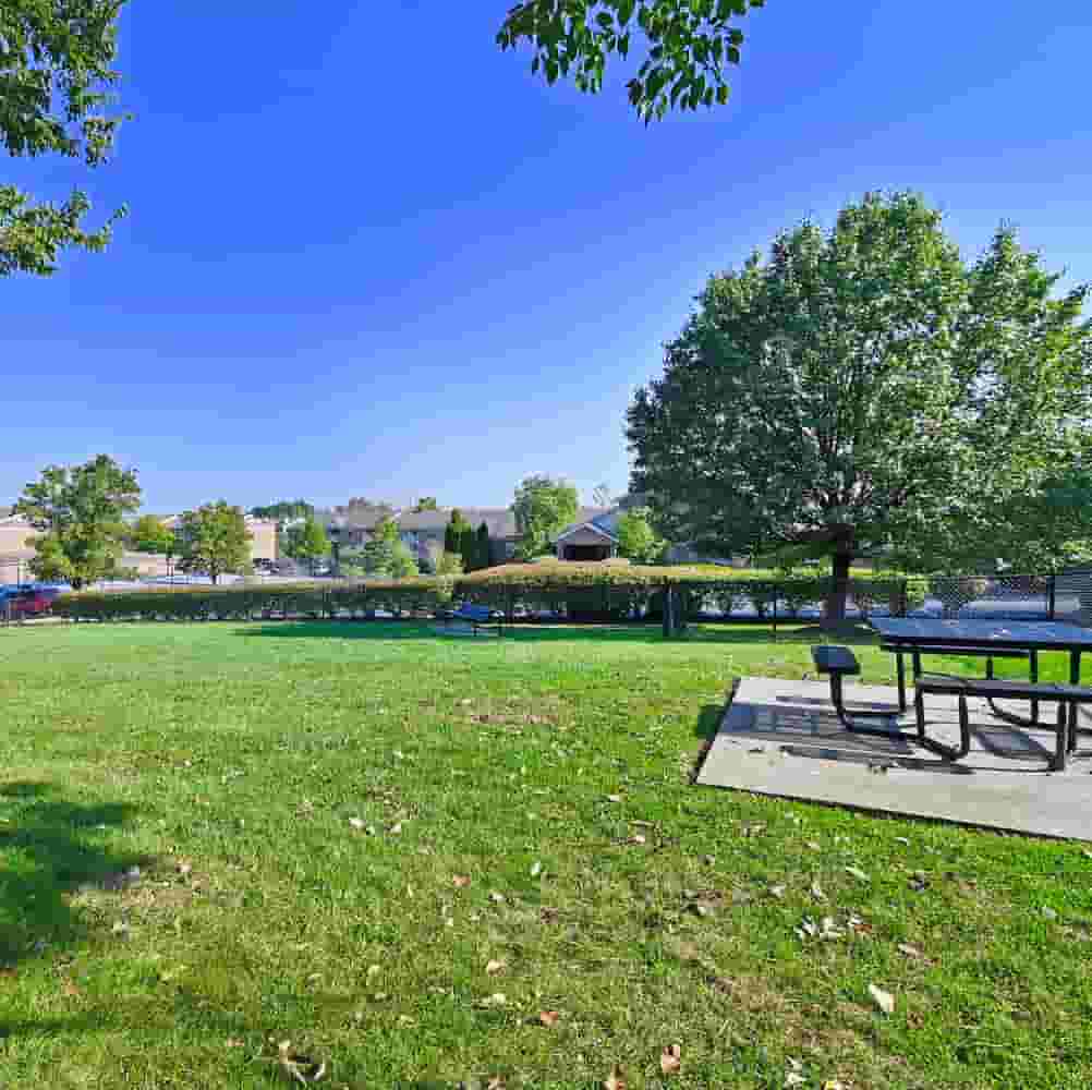 Green open grass area with picnic tables